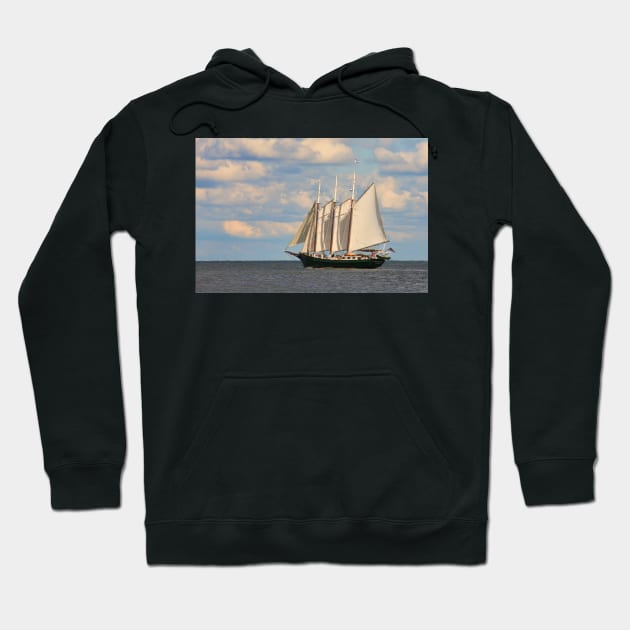 Alliance sets sail Hoodie by tgass